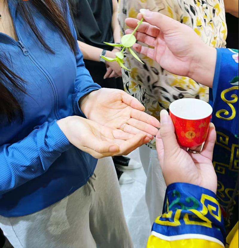 Close-up of a personal oracle reading session with a practitioner offering symbolic guidance for life questions, relationship direction, wealth flow, career choices, and personal destiny.